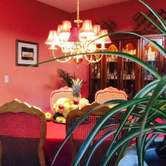 Отель Dickinson Guest House 3* Стандартный номер с различными типами кроватей фото 26