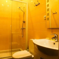 Мини-отель Краски 3* Номер Комфорт с разными типами кроватей фото 5