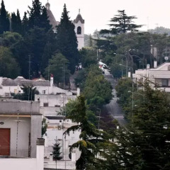 Отель B&B Il Nido sui Trulli Альберобелло фото 2