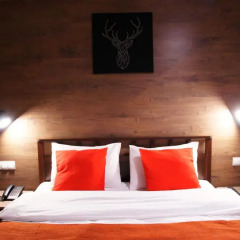 LiKi LOFT HOTEL 3* Номер Делюкс с различными типами кроватей фото 6