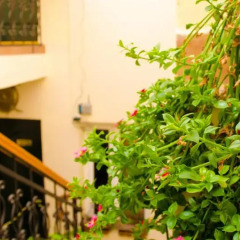 Отель Old City Inn Азербайджан, Баку - 2 отзыва об отеле, цены и фото номеров - забронировать отель Old City Inn онлайн фото 3