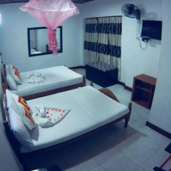 Lark Nest Hotel комната для гостей фото 5