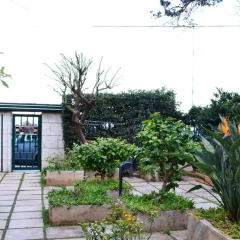 Отель Gabbiano House Италия, Палермо - отзывы, цены и фото номеров - забронировать отель Gabbiano House онлайн фото 2