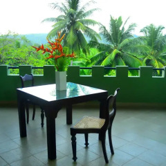 Отель Tropical Retreat 3* Номер Делюкс с различными типами кроватей фото 2