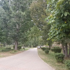 Отель Michlifen Ifrane Suites & Spa фото 9