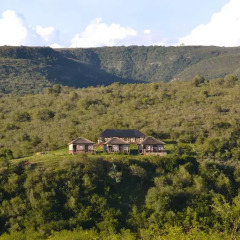Отель Addo Palace Bush Huts фото 8