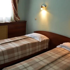Гостиница Шансон 3* Номер Комфорт разные типы кроватей фото 3