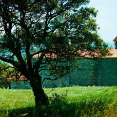 Отель La Posada de Langre Anexo фото 6