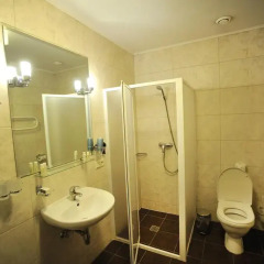 Отель Regina Hotel Литва, Каунас - отзывы, цены и фото номеров - забронировать отель Regina Hotel онлайн ванная
