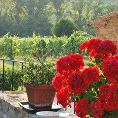 Отель B&B Mulino Barchio Италия, Монтекассино - отзывы, цены и фото номеров - забронировать отель B&B Mulino Barchio онлайн фото 6