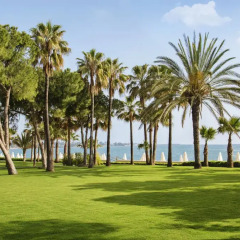 Отель Barut Acanthus & Cennet - All Inclusive спортивное сооружение
