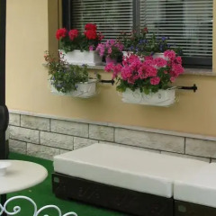 Отель B&B La Volpina интерьер отеля фото 3