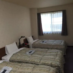 Shinseto Station Hotel 2* Стандартный номер фото 7