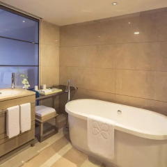 Hotel Nikko Saigon 5* Номер Делюкс с различными типами кроватей