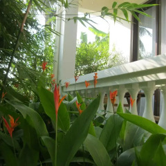 Отель Palm View Villa фото 5