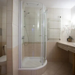 Отель Apartamenty U Młodych Закопане ванная