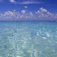 Отель Fafarua Ile Privée Private Island Французская Полинезия, Тикехау - отзывы, цены и фото номеров - забронировать отель Fafarua Ile Privée Private Island онлайн пляж