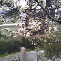 Отель Casa Vacanze Fiori Rosa Аулла фото 3