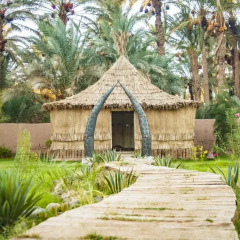 Отель Riad Lamane Марокко, Загора - отзывы, цены и фото номеров - забронировать отель Riad Lamane онлайн фото 10