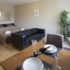 Hotel Apartments Wenceslas Square 3* Апартаменты с различными типами кроватей фото 17