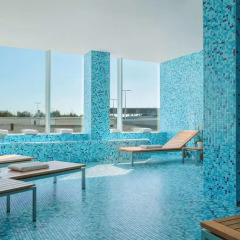 Отель Sheraton Amsterdam Airport Schiphol Нидерланды, Схипхол - 2 отзыва об отеле, цены и фото номеров - забронировать отель Sheraton Amsterdam Airport Schiphol онлайн бассейн фото 2
