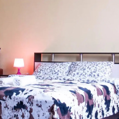 Hotel na Ligovskom 2* Стандартный номер с двуспальной кроватью фото 36