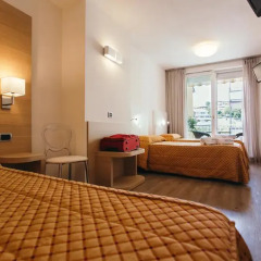 Отель Europa (Desenzano Del Garda) 3* Стандартный номер фото 8
