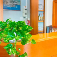Hotel Losanna интерьер отеля