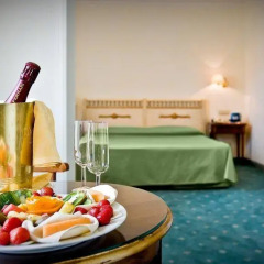 Hotel Fiuggi Terme Resort & Spa, Sure Hotel Collection by Best Western 4* Стандартный номер фото 2