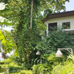 Отель Birds & Bees Resort 3* Номер Делюкс с различными типами кроватей фото 4
