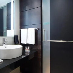 Radisson Blu Elizabete Hotel 4* Номер Бизнес с различными типами кроватей фото 3