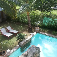 Отель Residence Les Cocotiers Французская Полинезия, Папеэте - отзывы, цены и фото номеров - забронировать отель Residence Les Cocotiers онлайн бассейн фото 3