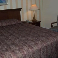 Отель Island Travel Inn Канада, Виктория - отзывы, цены и фото номеров - забронировать отель Island Travel Inn онлайн комната для гостей фото 6