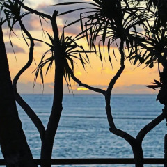 Grand Melanesian Hotel пляж фото 2