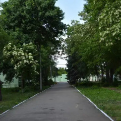 Гостиница Zeleny Kampus парковка