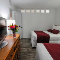 Отель Regency Inn & Suites 2* Люкс с 2 отдельными кроватями фото 11