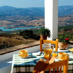Oasis Hotel 2* Стандартный номер с различными типами кроватей фото 12