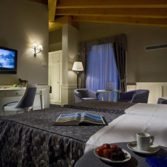 Отель Ca Mura, Lagrihotel A Padova 4* Полулюкс фото 2