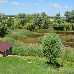 Гостиница and Leisure Complex Olympia в Курске отзывы, цены и фото номеров - забронировать гостиницу and Leisure Complex Olympia онлайн Курск приотельная территория