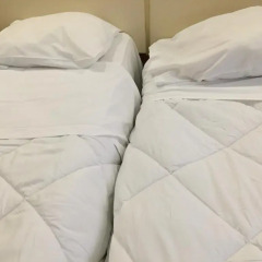 Hotel Windsor 2* Стандартный номер с 2 отдельными кроватями фото 2