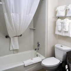 Отель Comfort Inn Downtown Charleston 2* Стандартный номер с различными типами кроватей фото 4