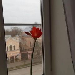 Апартаменты Na Ilyina Apartment Великий Новгород балкон