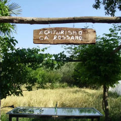 Отель Agriturismo Cà Rossano Фивиццано фото 9