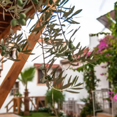 Courtyard Hotel Kalkan Турция, Калкан - отзывы, цены и фото номеров - забронировать отель Courtyard Hotel Kalkan онлайн фото 4