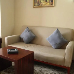 Гостиница Grand Aiser 4* Стандартный номер с 2 отдельными кроватями фото 4