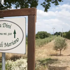 Отель Tenuta Decimo - Villa Dini Италия, Сан-Джиминьяно - отзывы, цены и фото номеров - забронировать отель Tenuta Decimo - Villa Dini онлайн спортивное сооружение