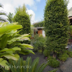 Отель El Rincón del Huroncillo