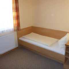 Hotel-Pension Scharl am Maibaum 3* Стандартный номер с различными типами кроватей фото 7