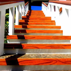 Отель Oasis Resort and Spa