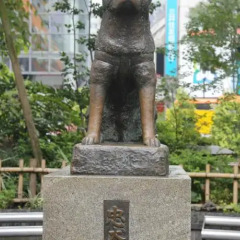 Отель commun SHIBUYA - Caters to Men фото 4